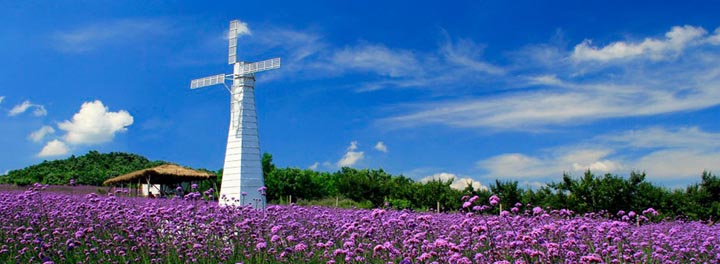 鄉(xiāng)村旅游規(guī)劃院：藍調薰衣草莊園旅游規(guī)劃鳥瞰圖