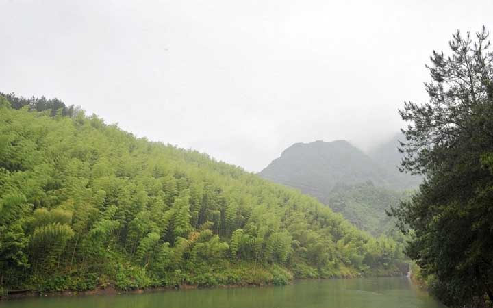 南天目山竹林和水庫