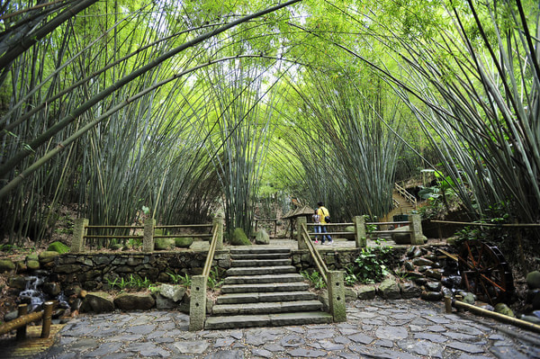 山地旅游規(guī)劃院：深圳東部華僑城因地制宜旅游規(guī)劃的竹樂谷