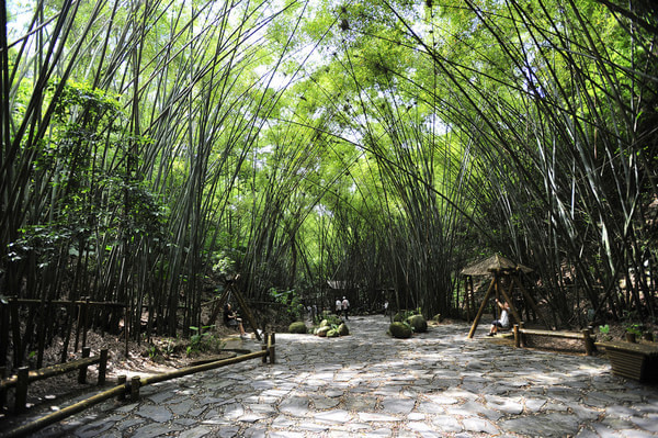 山地旅游規(guī)劃院：深圳東部華僑城竹樂谷因地制宜進行旅游規(guī)劃