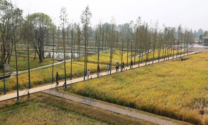 城頭山國(guó)家考古遺址公園